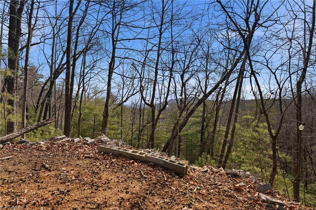 Remarks at 840 Summit Ridge Road, Purlear NC 28665, Purlear, photo 21 of 26