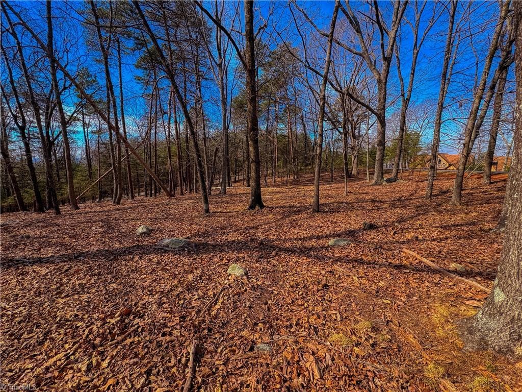 Single Family Residence at 863 Sierra Trace Road, Denton NC 27239, Denton, photo 6 of 37