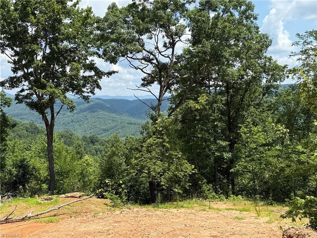 Single Family Residence at 337 Lucas Path Drive, Purlear NC 28665, Purlear, photo 16 of 43