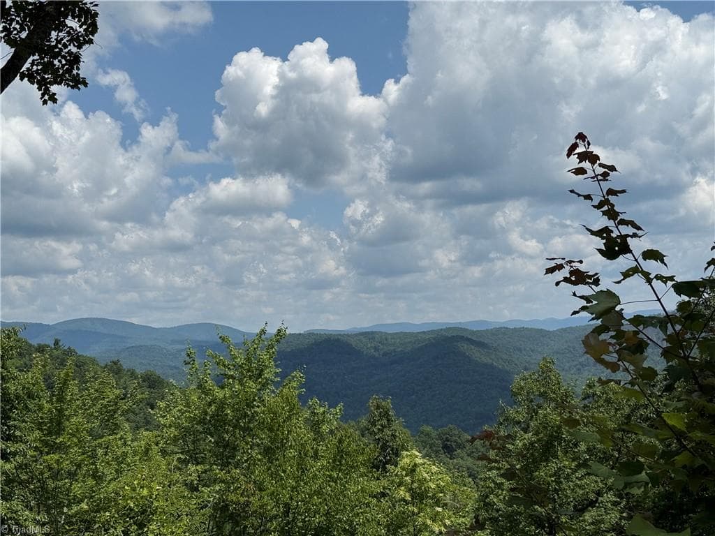 Single Family Residence at 337 Lucas Path Drive, Purlear NC 28665, Purlear, photo 3 of 43