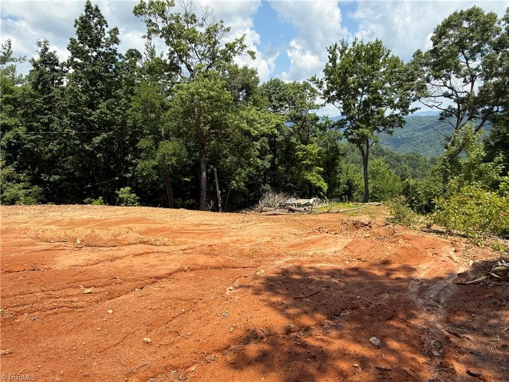 Single Family Residence at 337 Lucas Path Drive, Purlear NC 28665, Purlear, photo 14 of 43
