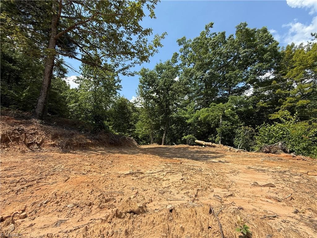 Single Family Residence at 337 Lucas Path Drive, Purlear NC 28665, Purlear, photo 18 of 43
