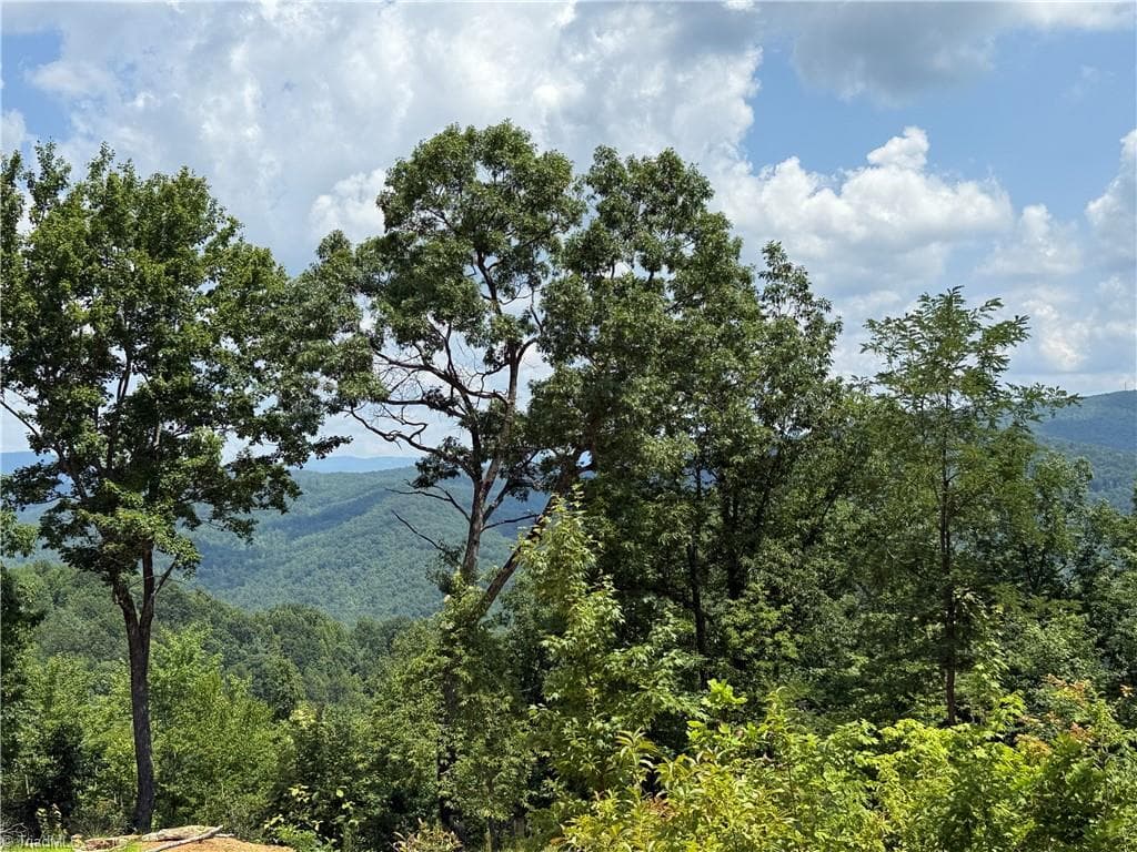 Single Family Residence at 337 Lucas Path Drive, Purlear NC 28665, Purlear, photo 15 of 43