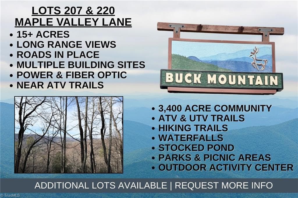 Lots 207 & 220 Maple Valley Lane, Purlear NC 28665