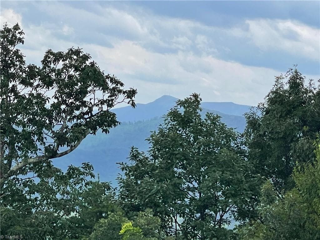 Single Family Residence at 430 reflections point Trail, Fancy Gap VA 24328, Fancy Gap, photo 6 of 7