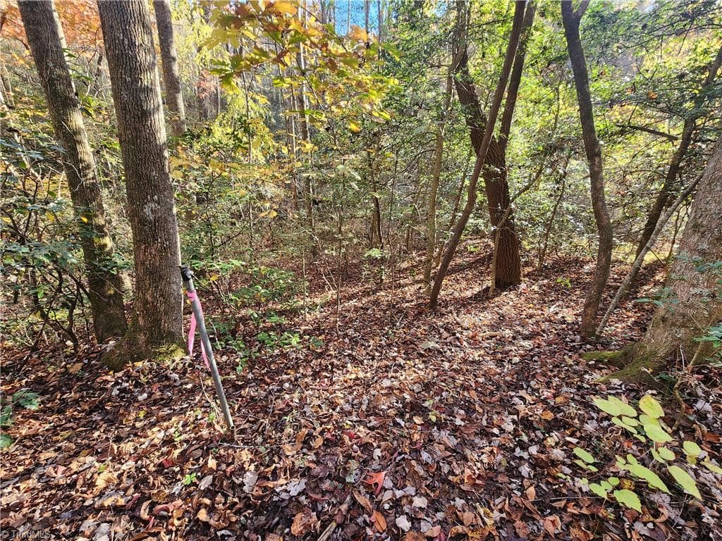 Unimproved Land at tbd Sable Avenue, Mount Airy NC 27030, Mount Airy, photo 3 of 26