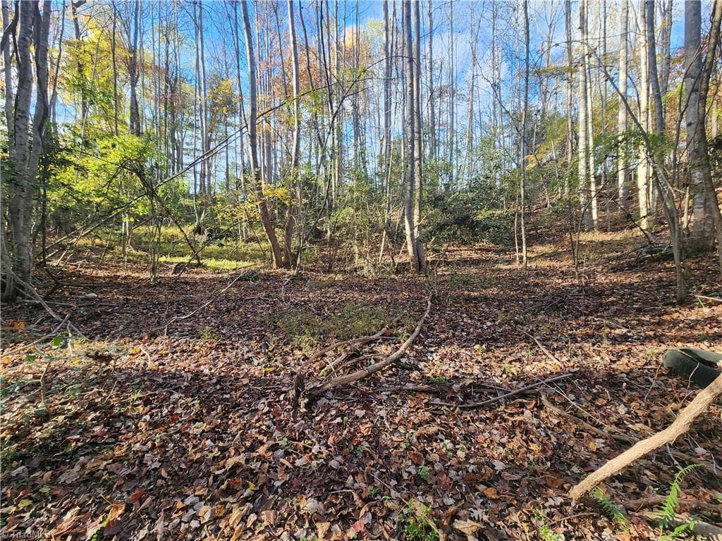 Unimproved Land at tbd Sable Avenue, Mount Airy NC 27030, Mount Airy, photo 11 of 26