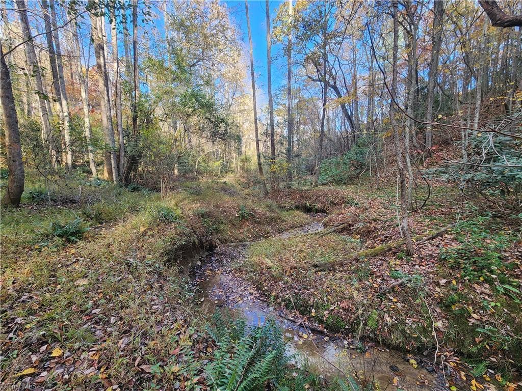 Unimproved Land at tbd Sable Avenue, Mount Airy NC 27030, Mount Airy, photo 13 of 26