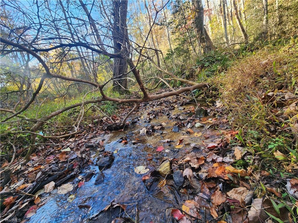Unimproved Land at tbd Sable Avenue, Mount Airy NC 27030, Mount Airy, photo 5 of 26
