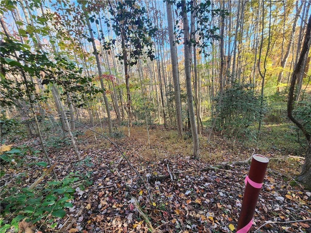 Unimproved Land at tbd Sable Avenue, Mount Airy NC 27030, Mount Airy, photo 9 of 26