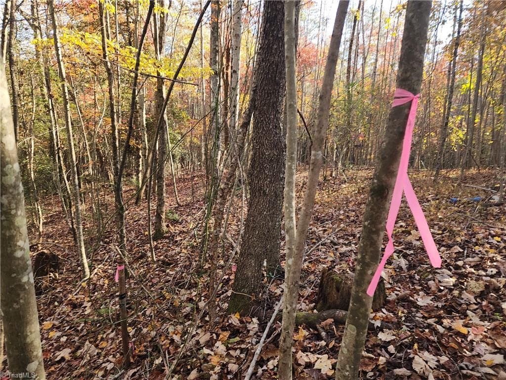 Unimproved Land at tbd Sable Avenue, Mount Airy NC 27030, Mount Airy, photo 7 of 26