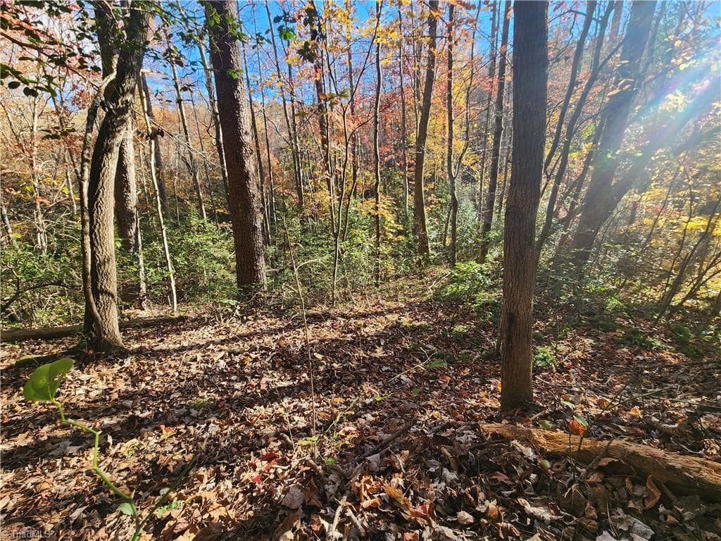 Unimproved Land at tbd Sable Avenue, Mount Airy NC 27030, Mount Airy, photo 15 of 26