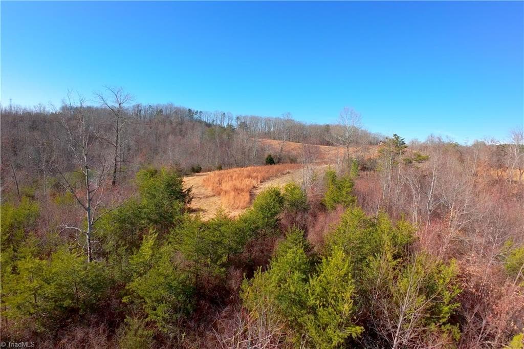 Unimproved Land at 3 Roby Fulk Road, Pinnacle NC 27043, photo 13 of 25