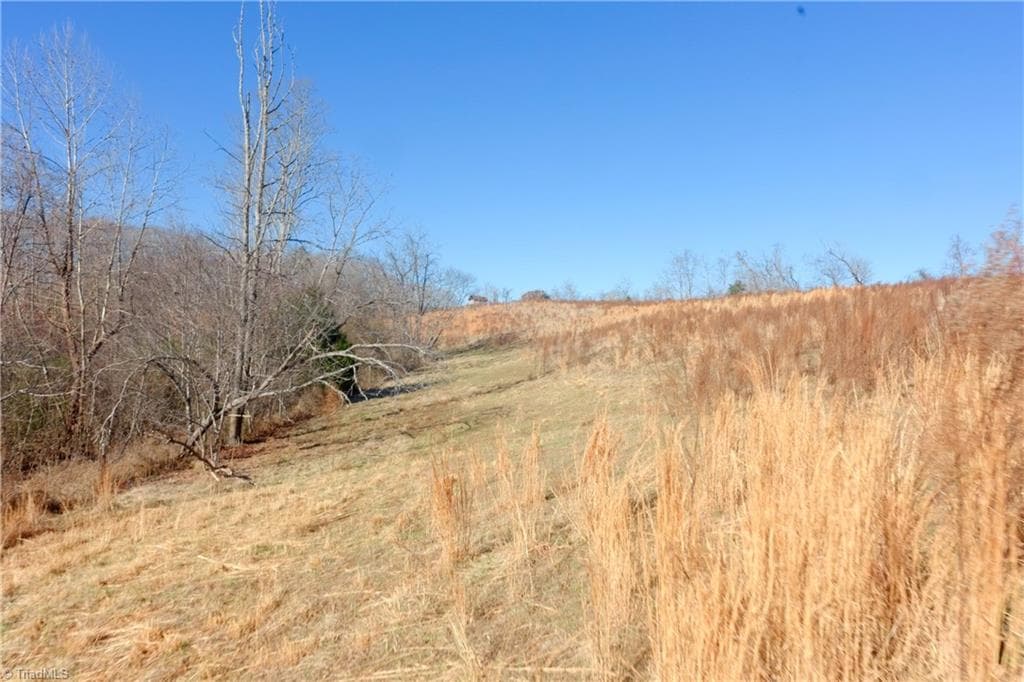Unimproved Land at 3 Roby Fulk Road, Pinnacle NC 27043, photo 17 of 25