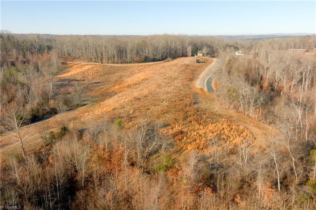 Unimproved Land at 3 Roby Fulk Road, Pinnacle NC 27043, photo 7 of 25