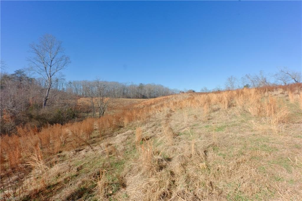 Unimproved Land at 3 Roby Fulk Road, Pinnacle NC 27043, photo 3 of 25