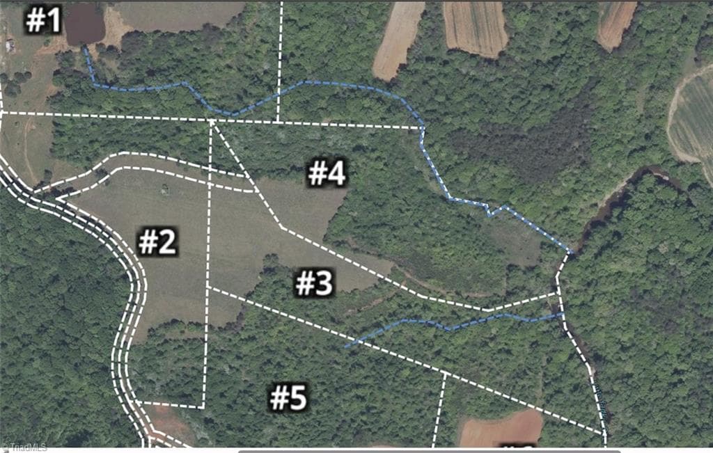 Unimproved Land at 3 Roby Fulk Road, Pinnacle NC 27043, photo 20 of 25