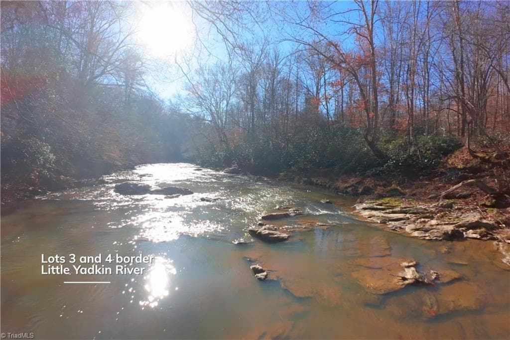 Unimproved Land at 3 Roby Fulk Road, Pinnacle NC 27043, photo 14 of 25