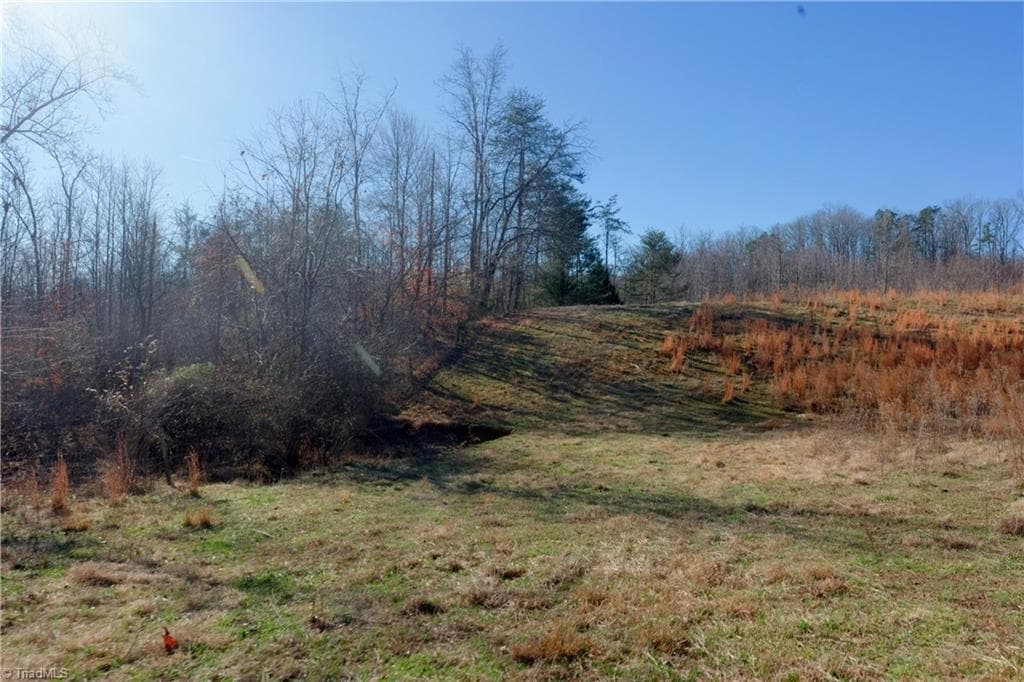 Unimproved Land at 3 Roby Fulk Road, Pinnacle NC 27043, photo 18 of 25