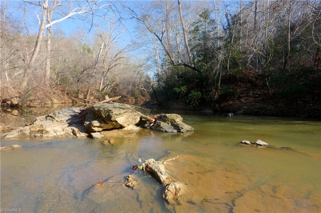 Unimproved Land at 3 Roby Fulk Road, Pinnacle NC 27043, photo 15 of 25