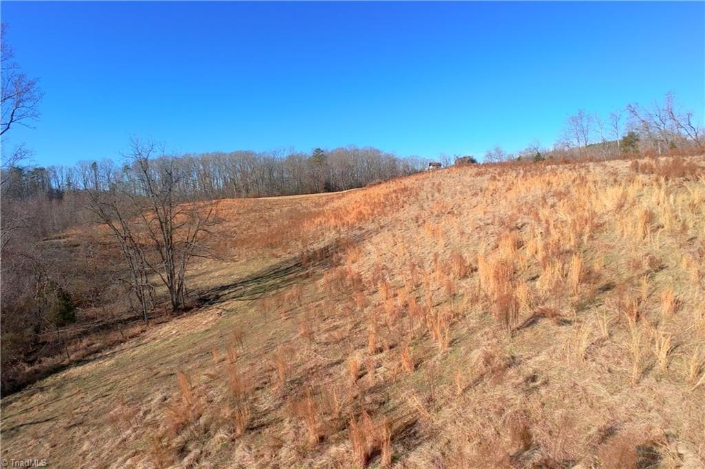 Unimproved Land at 3 Roby Fulk Road, Pinnacle NC 27043, photo 19 of 25