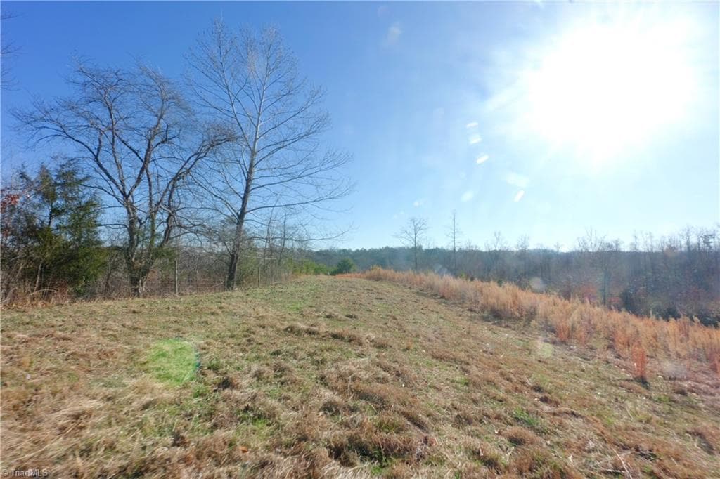 Unimproved Land at 3 Roby Fulk Road, Pinnacle NC 27043, photo 4 of 25