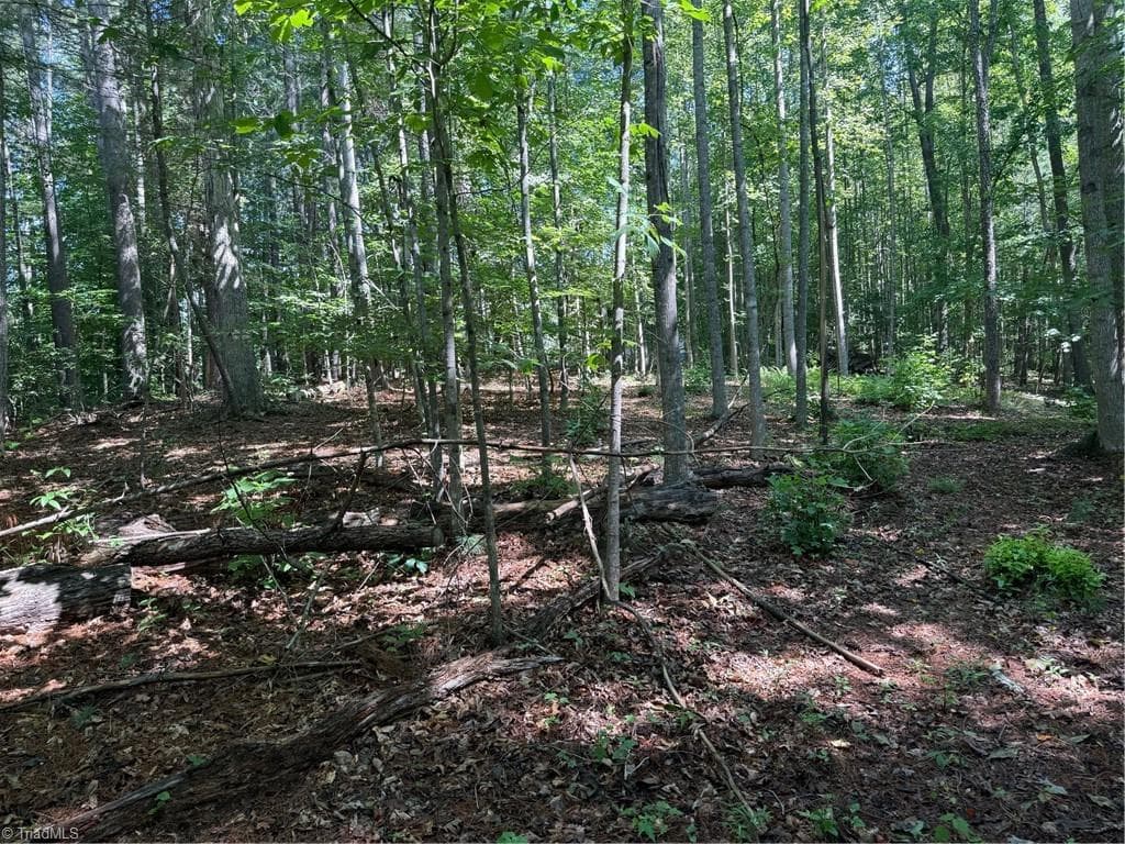 Single Family Residence at Lot 22 Austin Traphill Road, Traphill NC 28685, photo 2 of 8
