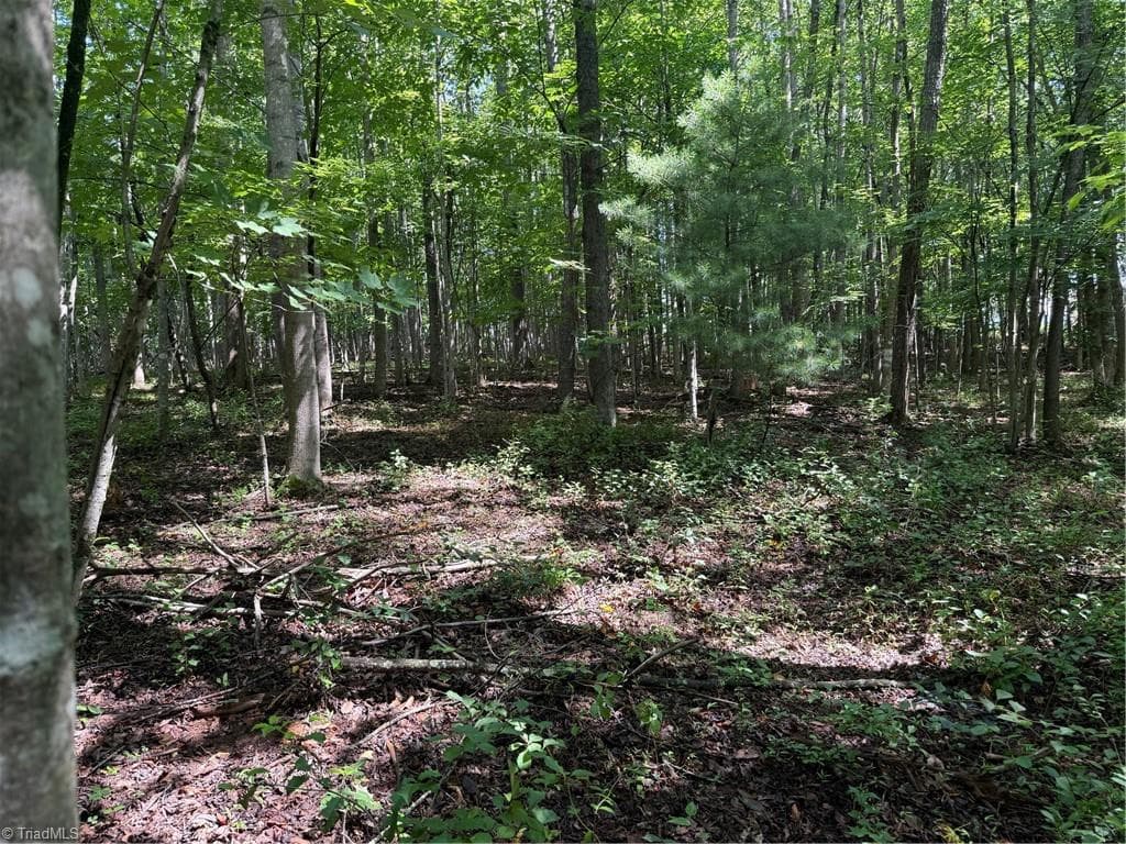 Single Family Residence at Lot 22 Austin Traphill Road, Traphill NC 28685, photo 7 of 8