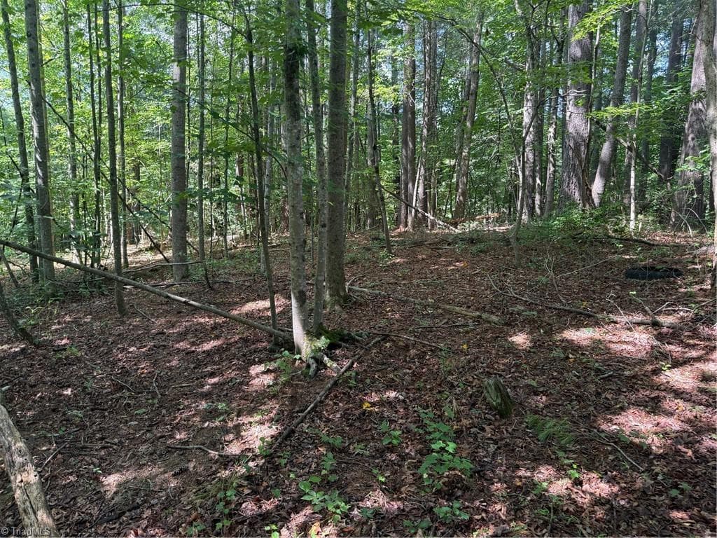 Lot 22 Austin Traphill Road, Traphill NC 28685