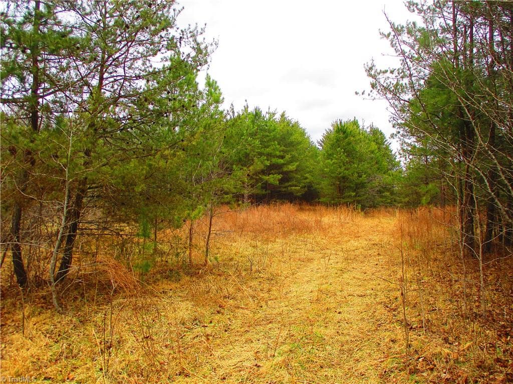 Walking path to the back of the property. - 1809 Alamance Church Road, Greensboro NC 27406, Greensboro
