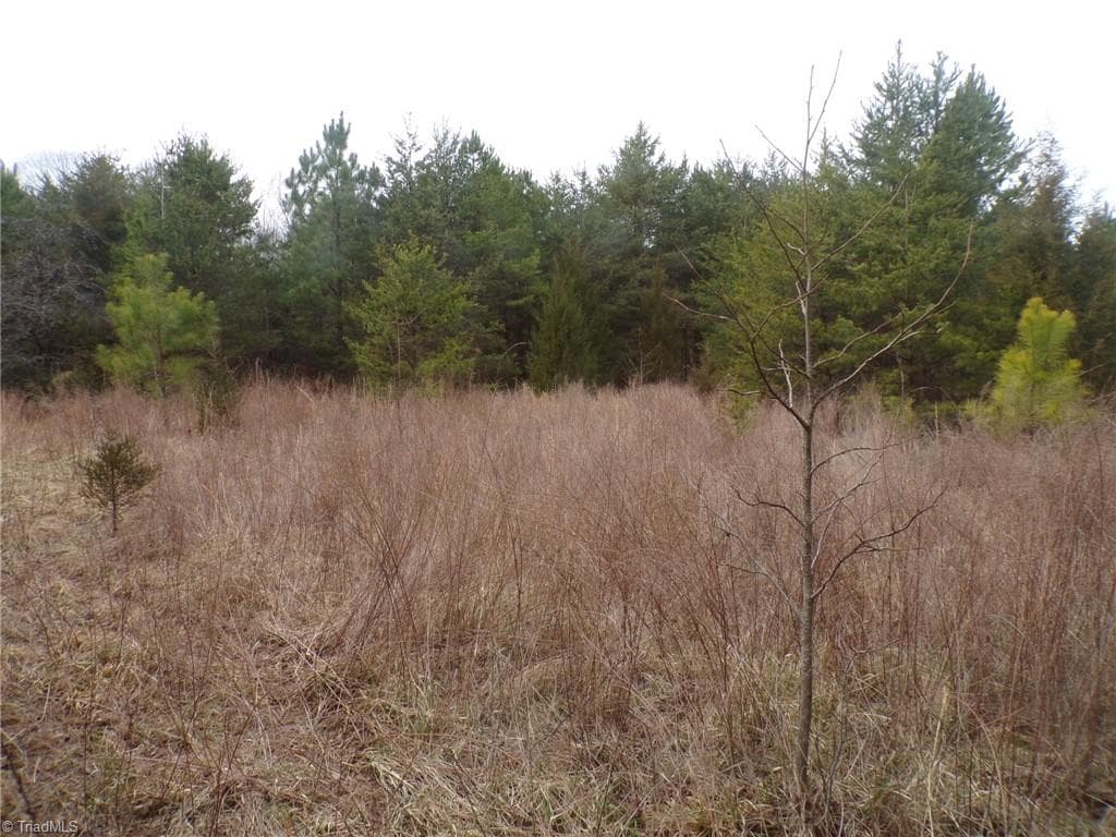 Agriculture at 1809 Alamance Church Road, Greensboro NC 27406, Greensboro, photo 23 of 30