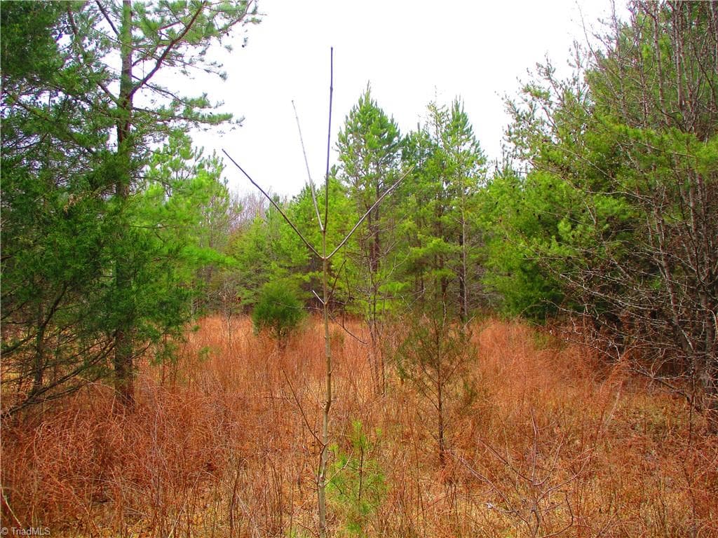 This land used to be a hayfield. Saplings.... - 1809 Alamance Church Road, Greensboro NC 27406, Greensboro