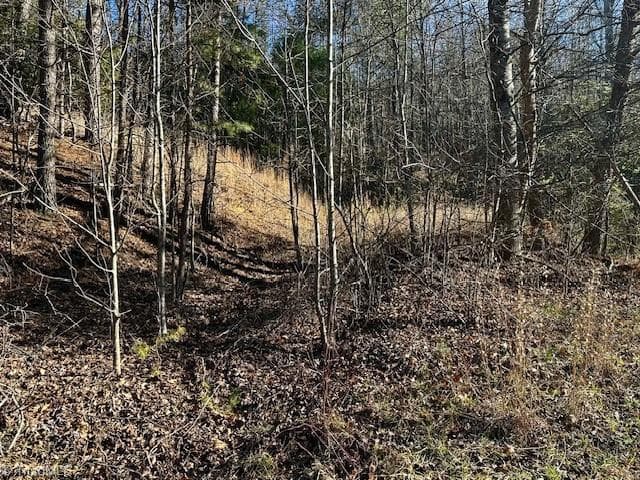 Single Family Residence at TBD S NC Highway 16, Moravian Falls NC 28654, Moravian Falls, photo 5 of 44