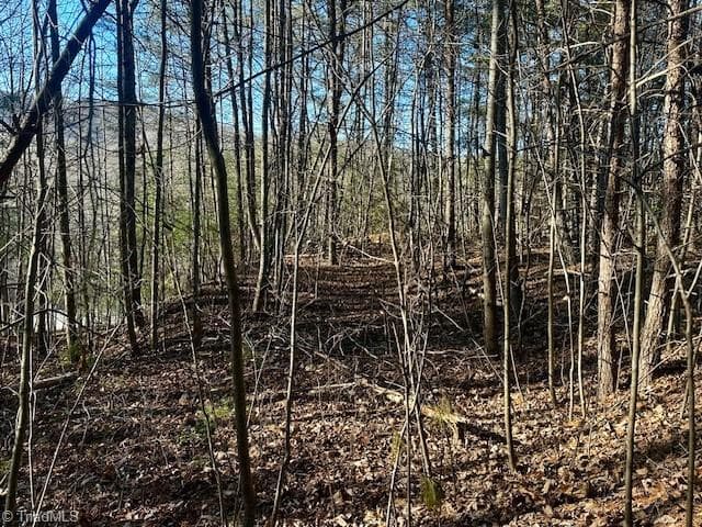 Single Family Residence at TBD S NC Highway 16, Moravian Falls NC 28654, Moravian Falls, photo 29 of 44