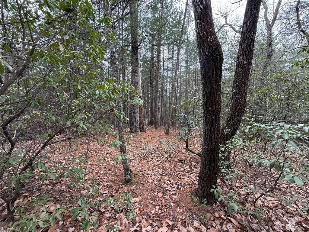 Single Family Residence at Lot 82 Deer Antler Drive, Purlear NC 28665, photo 6 of 35