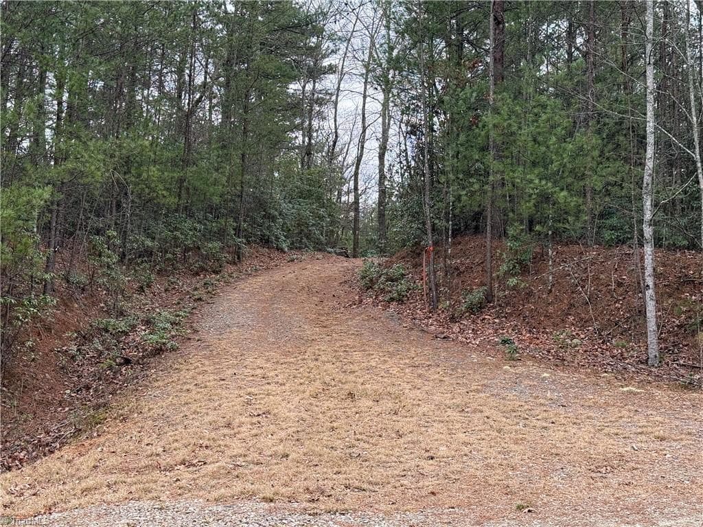 Single Family Residence at Lot 82 Deer Antler Drive, Purlear NC 28665, photo 17 of 35