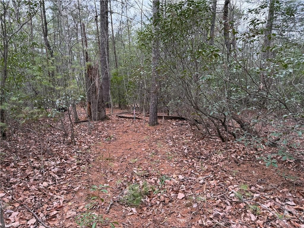 Single Family Residence at Lot 82 Deer Antler Drive, Purlear NC 28665, photo 12 of 35