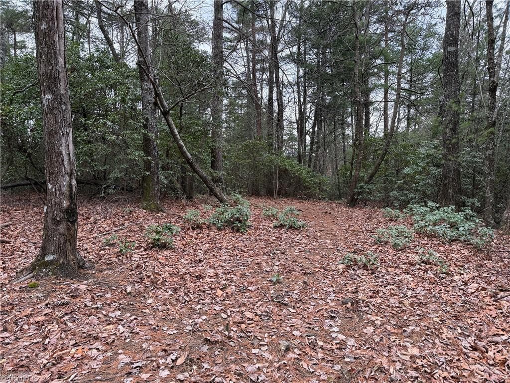 Single Family Residence at Lot 82 Deer Antler Drive, Purlear NC 28665, photo 7 of 35
