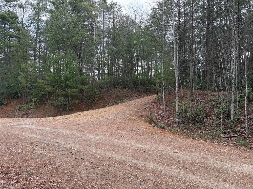 Single Family Residence at Lot 82 Deer Antler Drive, Purlear NC 28665, photo 3 of 35