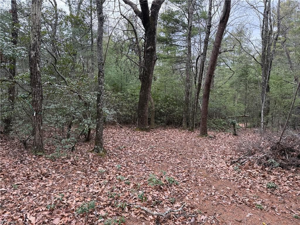 Single Family Residence at Lot 82 Deer Antler Drive, Purlear NC 28665, photo 5 of 35
