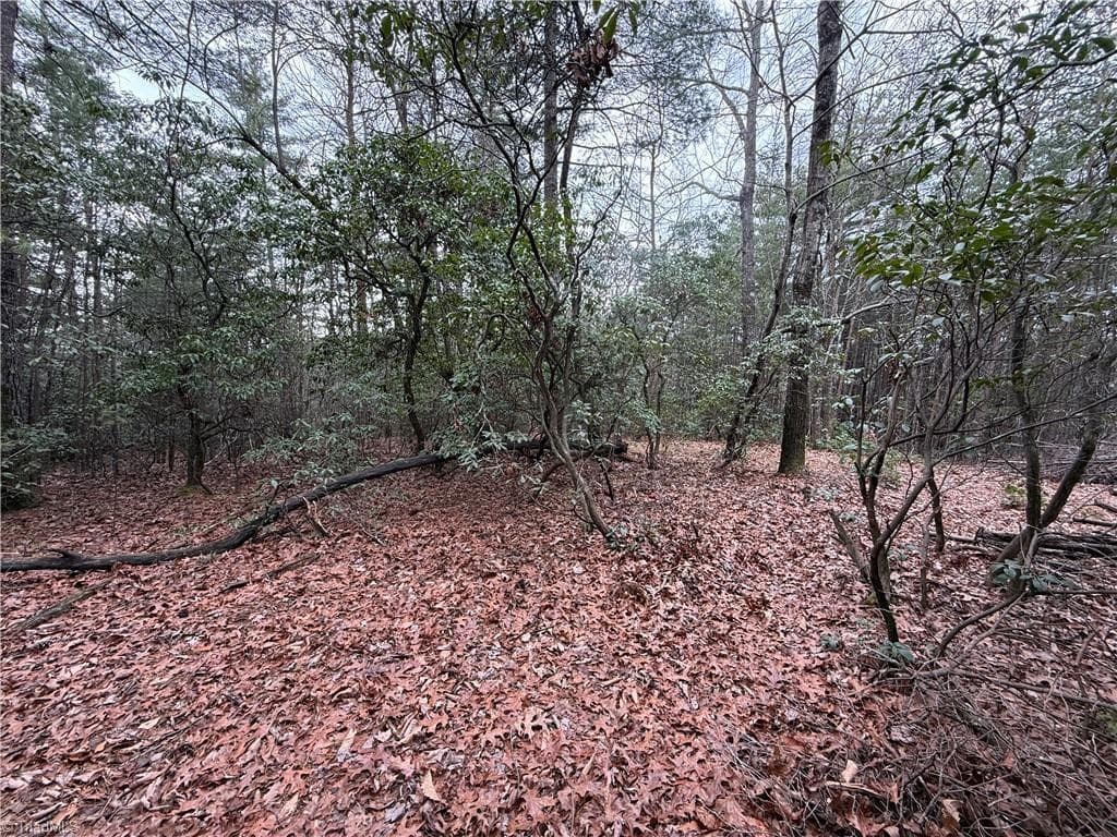 Single Family Residence at Lot 82 Deer Antler Drive, Purlear NC 28665, photo 14 of 35