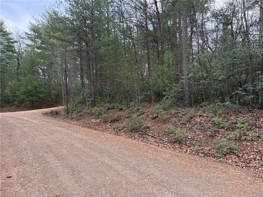 Single Family Residence at Lot 82 Deer Antler Drive, Purlear NC 28665, photo 15 of 35