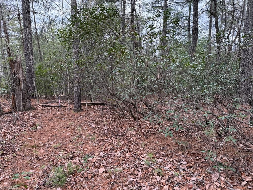 Single Family Residence at Lot 82 Deer Antler Drive, Purlear NC 28665, photo 11 of 35
