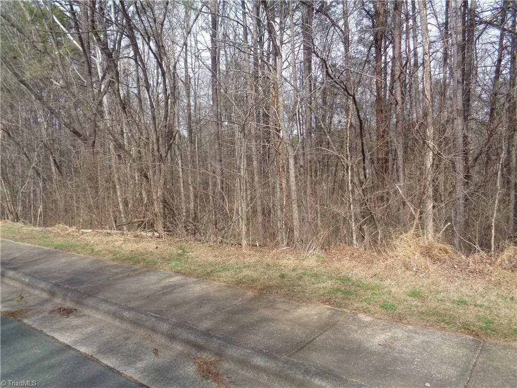 89 lot Haynoke Drive, Graham NC 27253