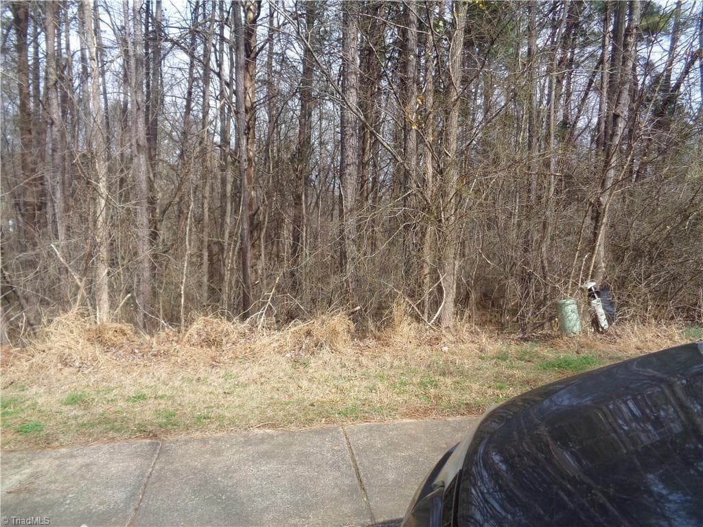 Unimproved Land at Lot 93 Haynoke Drive, Graham NC 27253, photo 2 of 3