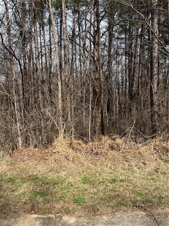 Lot 93 Haynoke Drive, Graham NC 27253