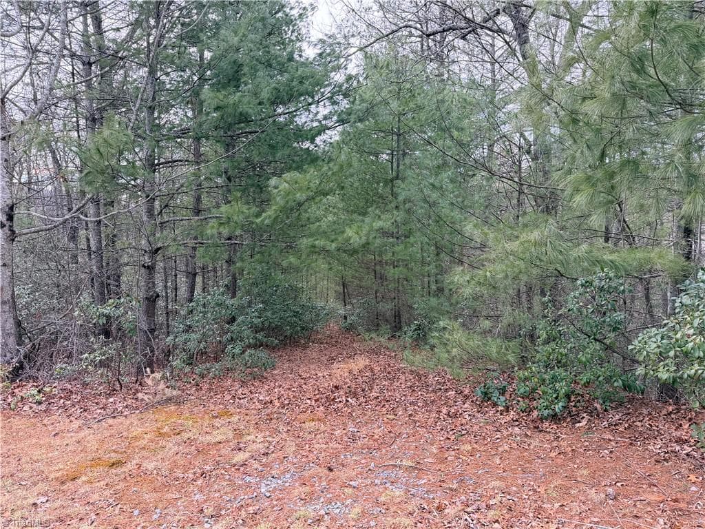 Single Family Residence at TBD (Lot 4) Wolf Den Lane, Lenoir NC 28645, Lenoir, photo 2 of 13