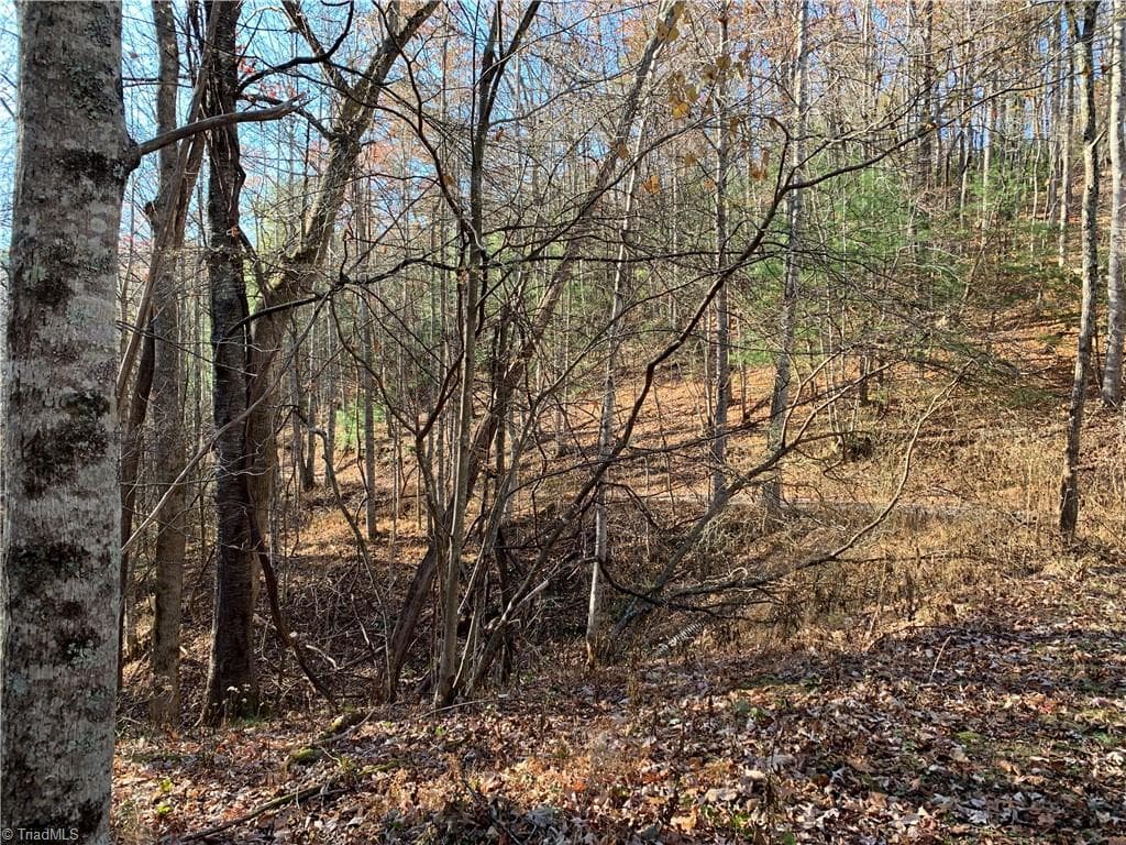 Single Family Residence at TBD (Lot 4) Wolf Den Lane, Lenoir NC 28645, Lenoir, photo 6 of 13