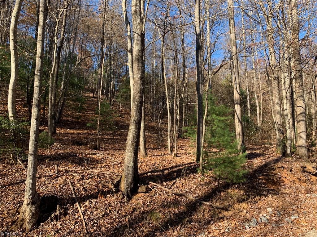 Single Family Residence at TBD (Lot 4) Wolf Den Lane, Lenoir NC 28645, Lenoir, photo 12 of 13
