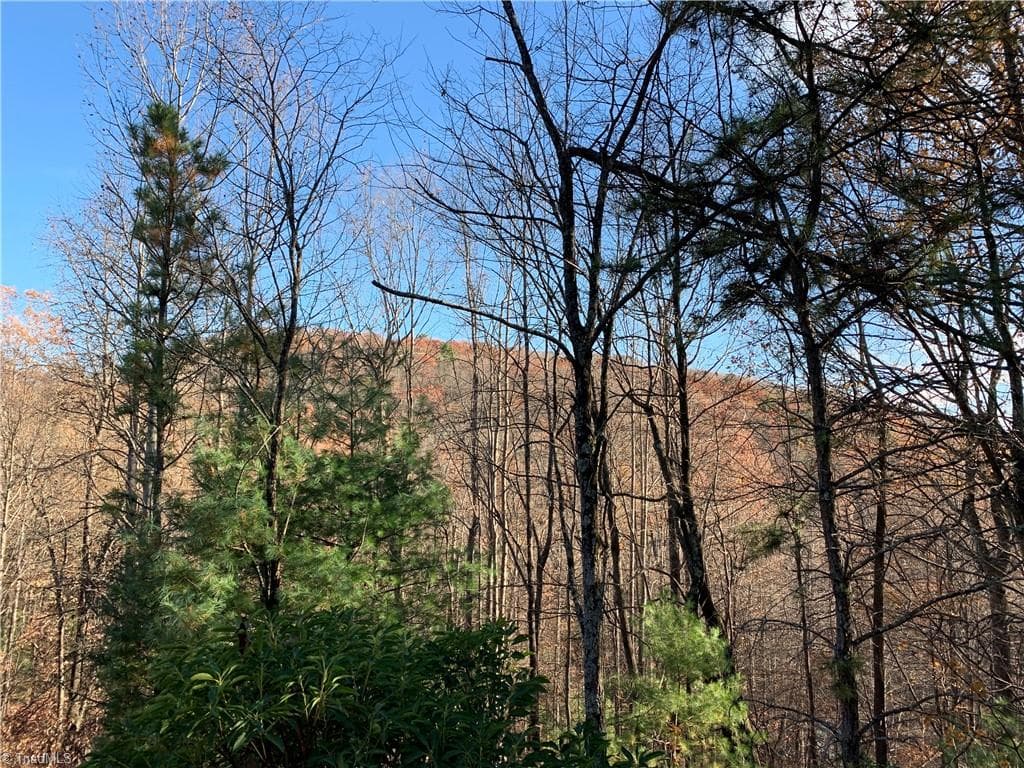 Single Family Residence at TBD (Lot 4) Wolf Den Lane, Lenoir NC 28645, Lenoir, photo 3 of 13